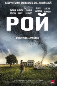 Рой