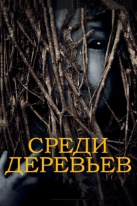 За деревьями