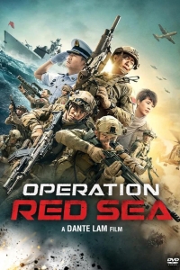 Операция в Красном море