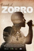 В поисках Зорро