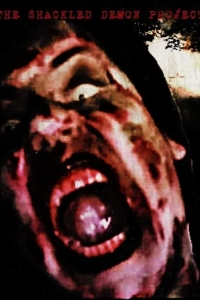 Проект "Закованный демон"