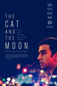 Кошка и луна